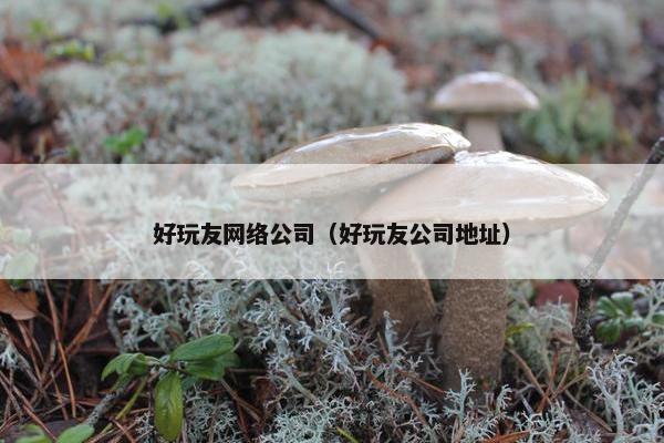 好玩友网络公司（好玩友公司地址）