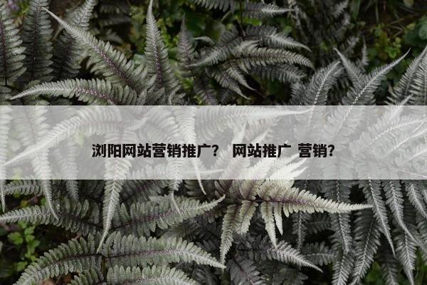 浏阳网站营销推广？ 网站推广 营销？