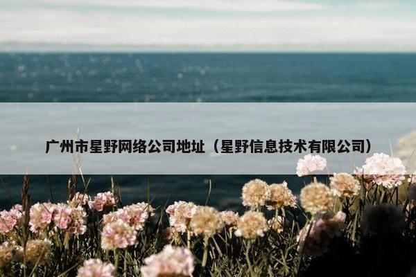 广州市星野网络公司地址（星野信息技术有限公司）