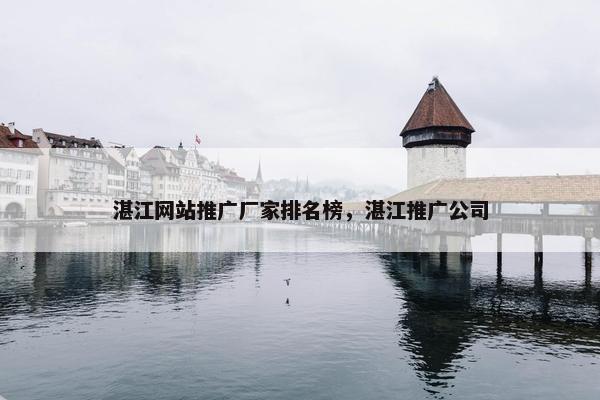 湛江网站推广厂家排名榜，湛江推广公司