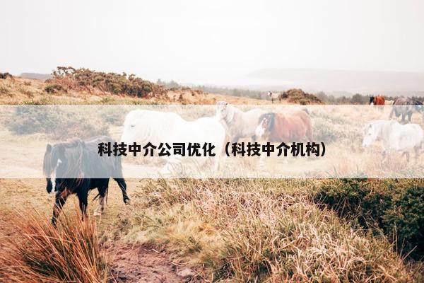科技中介公司优化（科技中介机构）