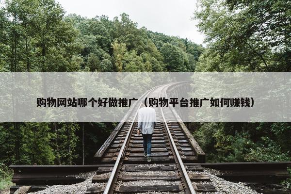 购物网站哪个好做推广（购物平台推广如何赚钱）