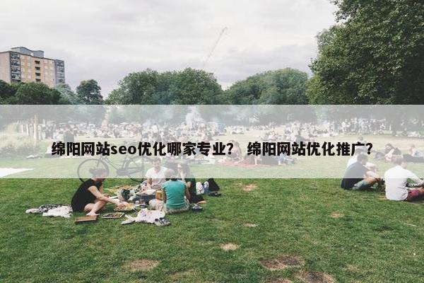 绵阳网站seo优化哪家专业？ 绵阳网站优化推广？