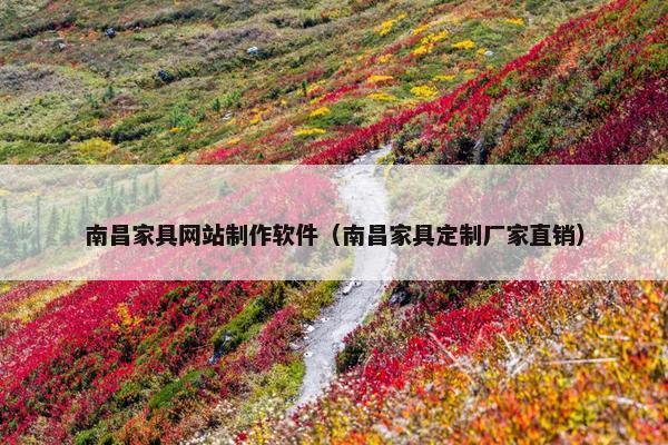 南昌家具网站制作软件（南昌家具定制厂家直销）