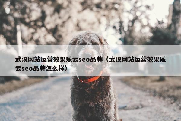 武汉网站运营效果乐云seo品牌（武汉网站运营效果乐云seo品牌怎么样）