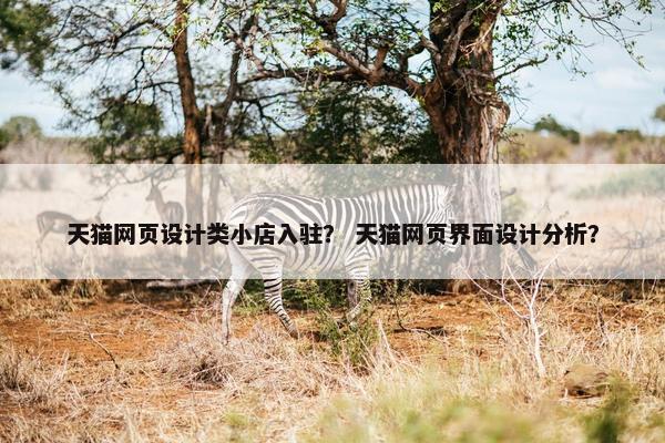 天猫网页设计类小店入驻？ 天猫网页界面设计分析？