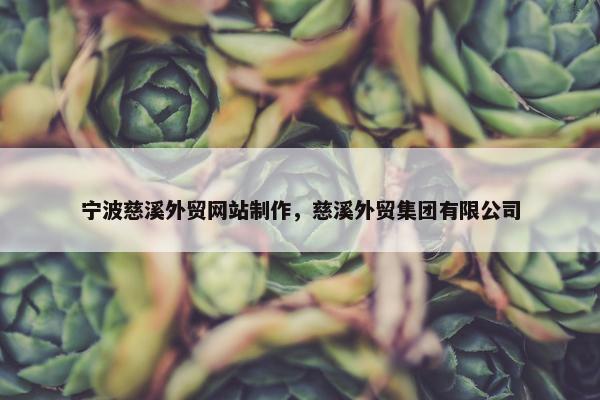 宁波慈溪外贸网站制作，慈溪外贸集团有限公司