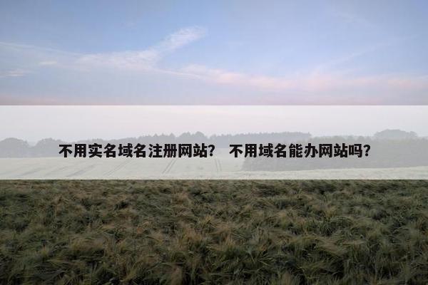 不用实名域名注册网站？ 不用域名能办网站吗？