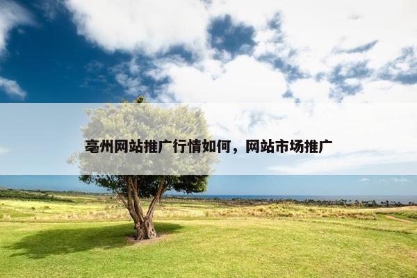 亳州网站推广行情如何，网站市场推广