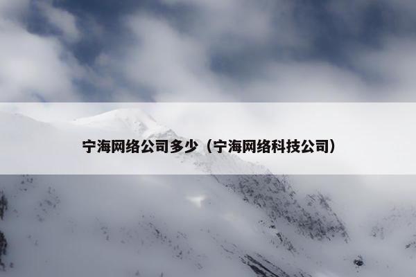 宁海网络公司多少（宁海网络科技公司）