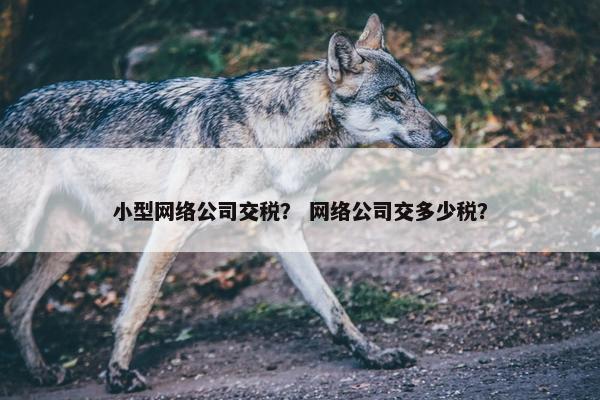 小型网络公司交税？ 网络公司交多少税？