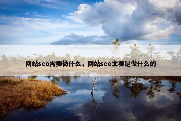 网站seo需要做什么，网站seo主要是做什么的