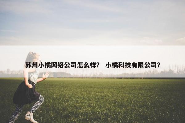 苏州小橘网络公司怎么样？ 小橘科技有限公司？