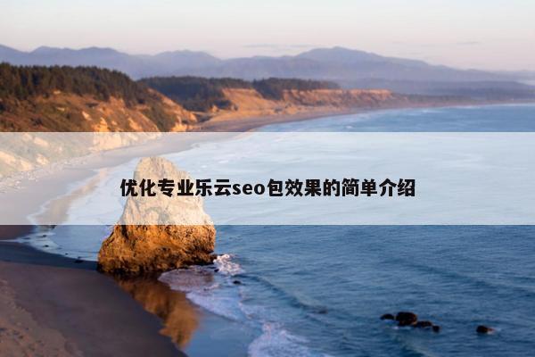 优化专业乐云seo包效果的简单介绍