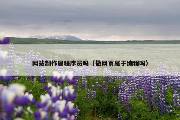 网站制作属程序员吗（做网页属于编程吗）