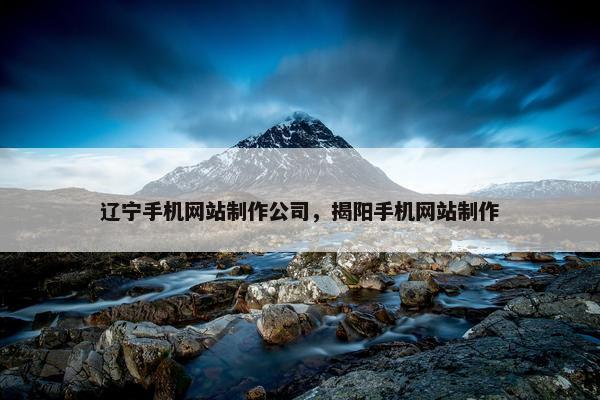 辽宁手机网站制作公司，揭阳手机网站制作