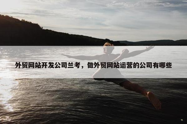 外贸网站开发公司兰考，做外贸网站运营的公司有哪些