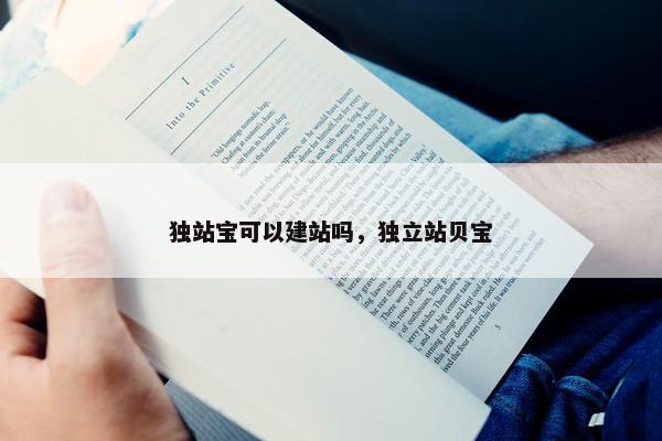 独站宝可以建站吗，独立站贝宝