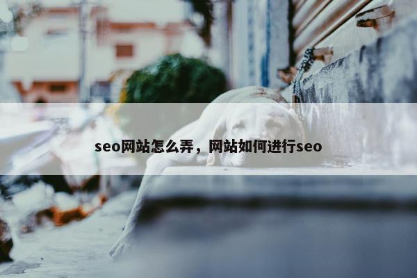 seo网站怎么弄，网站如何进行seo