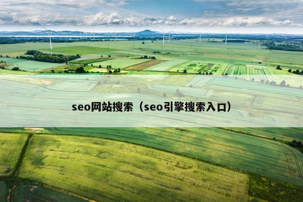 seo网站搜索（seo引擎搜索入口）