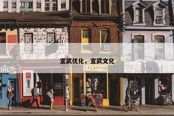宣武优化，宣武文化