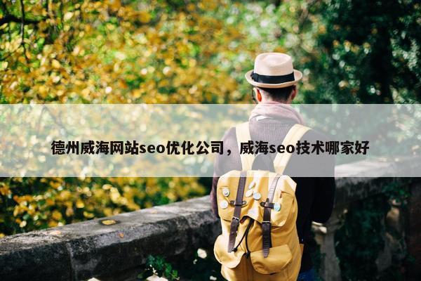 德州威海网站seo优化公司，威海seo技术哪家好