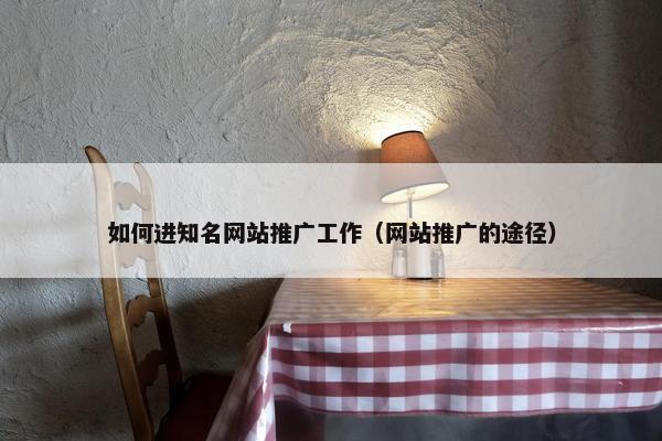 如何进知名网站推广工作（网站推广的途径）