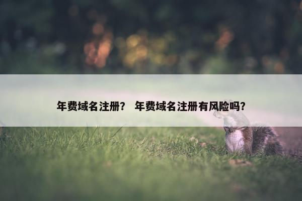 年费域名注册？ 年费域名注册有风险吗？