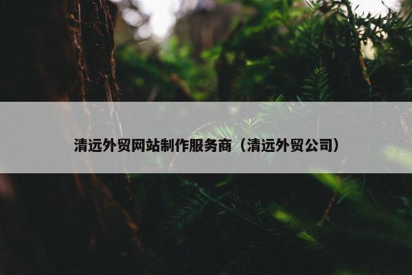 清远外贸网站制作服务商（清远外贸公司）