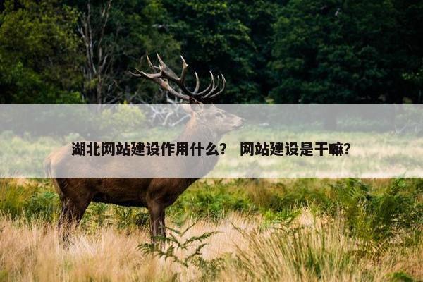 湖北网站建设作用什么？ 网站建设是干嘛？
