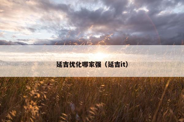 延吉优化哪家强（延吉it）