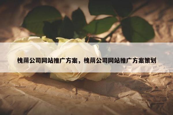 槐荫公司网站推广方案，槐荫公司网站推广方案策划