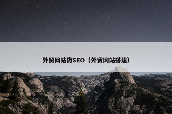 外贸网站做SEO（外贸网站搭建）