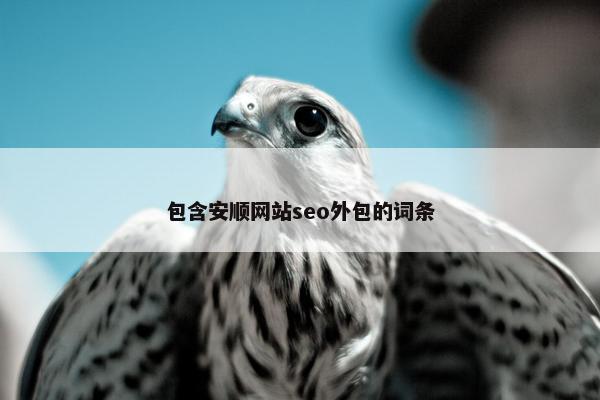 包含安顺网站seo外包的词条