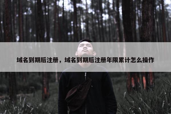 域名到期后注册，域名到期后注册年限累计怎么操作