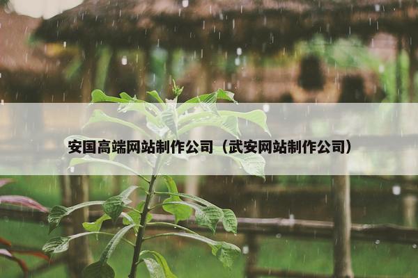 安国高端网站制作公司（武安网站制作公司）