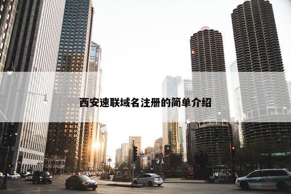 西安速联域名注册的简单介绍