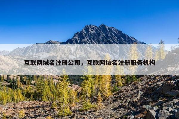 互联网域名注册公司，互联网域名注册服务机构