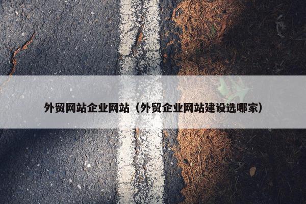 外贸网站企业网站（外贸企业网站建设选哪家）