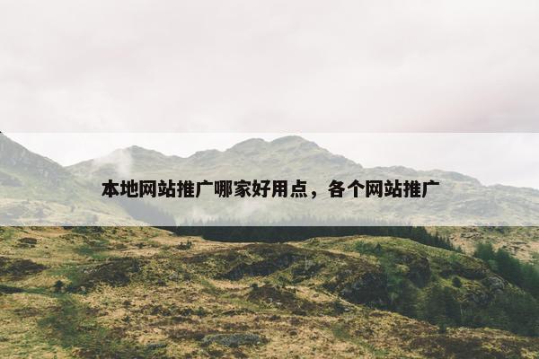 本地网站推广哪家好用点，各个网站推广