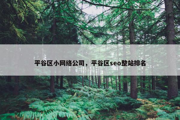 平谷区小网络公司，平谷区seo整站排名