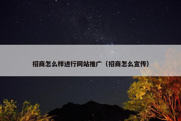 招商怎么样进行网站推广（招商怎么宣传）