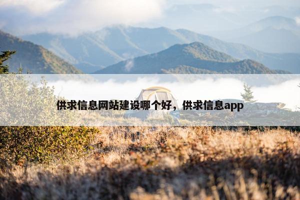 供求信息网站建设哪个好，供求信息app