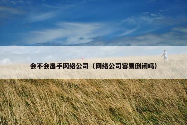 会不会出手网络公司（网络公司容易倒闭吗）