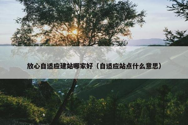放心自适应建站哪家好（自适应站点什么意思）