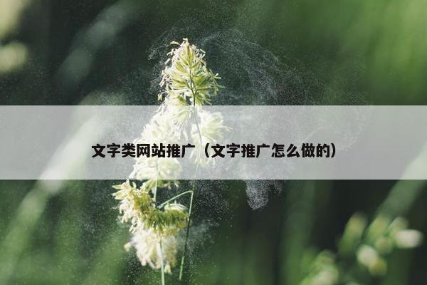 文字类网站推广（文字推广怎么做的）