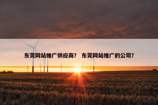 东莞网站推广供应商？ 东莞网站推广的公司？