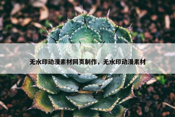 无水印动漫素材网页制作，无水印动漫素材