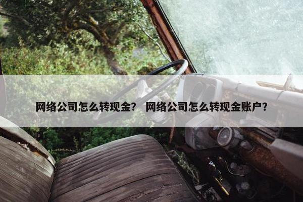 网络公司怎么转现金？ 网络公司怎么转现金账户？