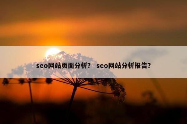 seo网站页面分析？ seo网站分析报告？